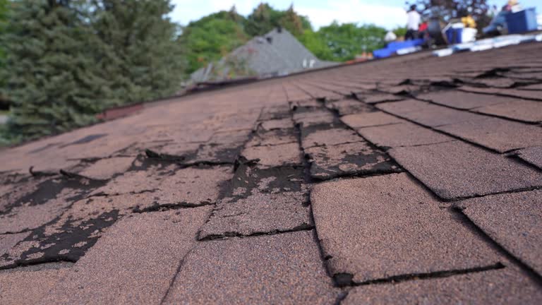 Best Roof Insulation Installation  in Phillipsburg, GA