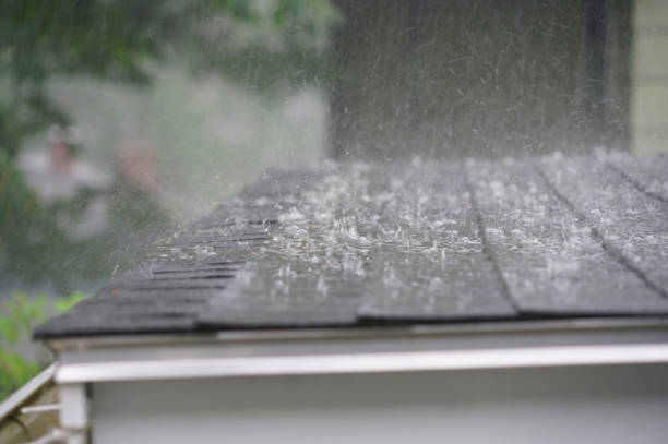 Best Roof Ventilation Installation  in Phillipsburg, GA