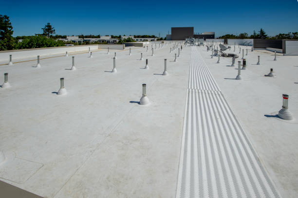 Best Asphalt Shingle Roofing  in Phillipsburg, GA